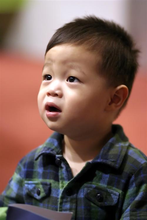 IMG_0960 (Custom).jpg